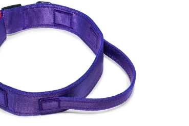 Halsband Fidlock®-Magnetverschluss mit Griff - lila